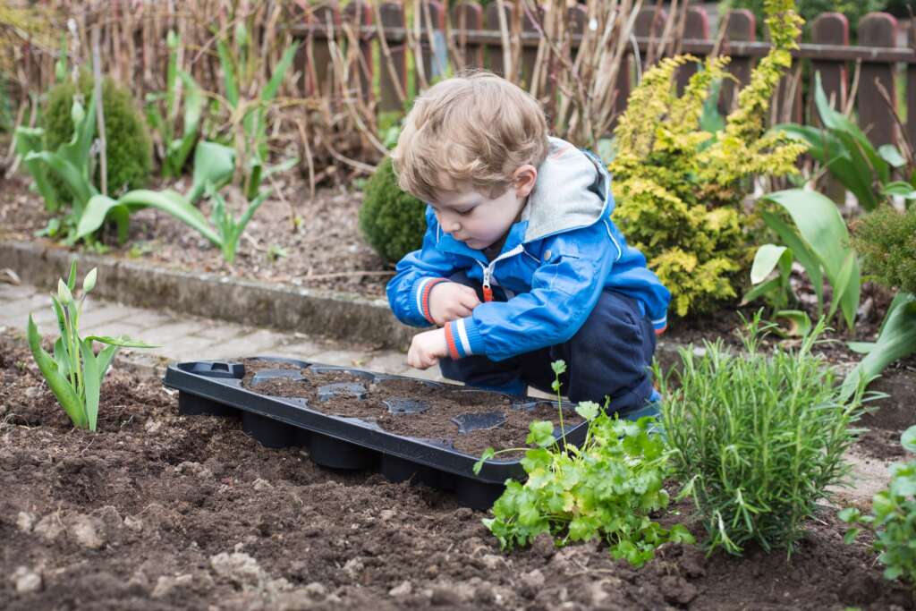 Child planting outside
